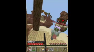 Killing a Fly Hacker in Skywars