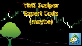 Writing an expert using the YMS Scalper Indicator- YMS Scalper, MT4