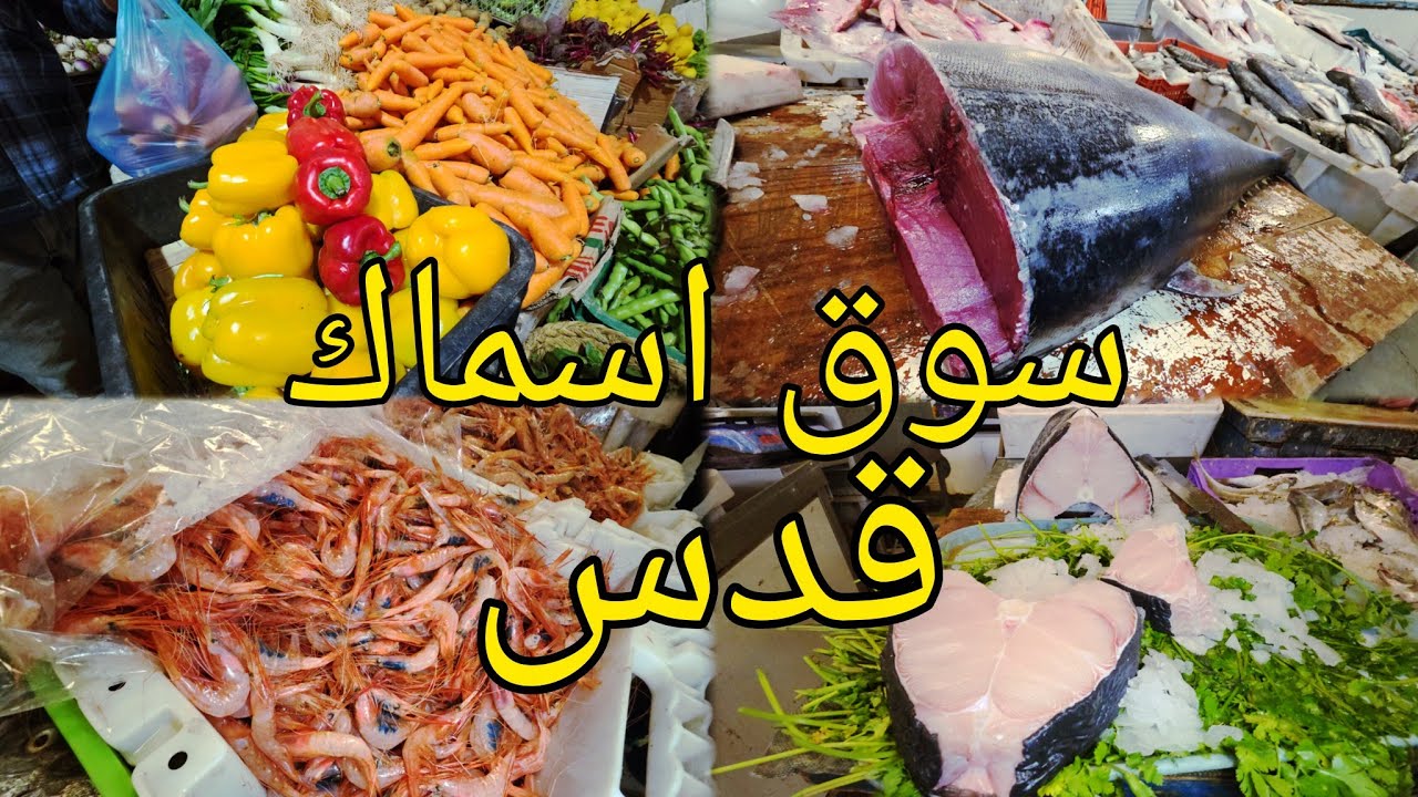 اتمنة اسماك سوق المغطى القدس بركان اجواء رمطان اقبال كبير berkane souk