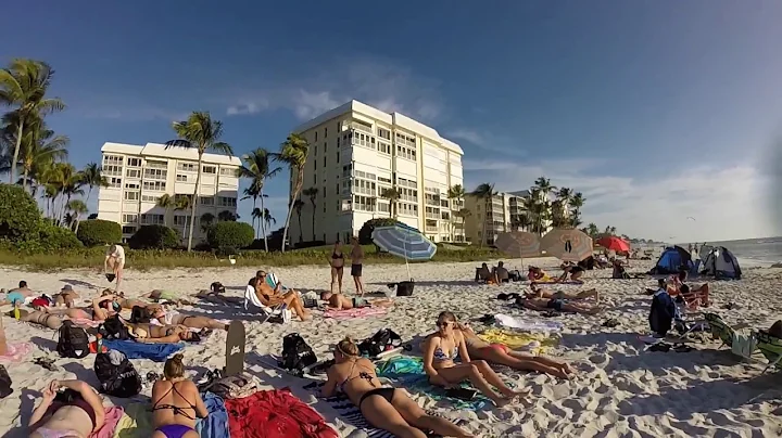 BSC Swim Team Training Trip 2015