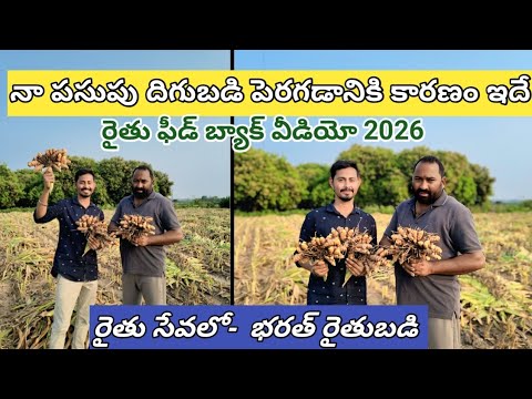 నా పసుపు దిగుబడి పెరగడానికి కారణం ఇదే -2026 //భరత్ రైతుబడి