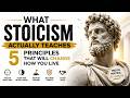 What Stoicism Actually Teaches — 5 Principles That Will Change How You Live