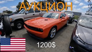 США! АУКЦИОН ЦЕЛЫХ И БИТЫХ МАШИН! ЦЕНЫ ОТ 250$! ИШУ АВТО НА ПЕРЕПРОДАЖУ!