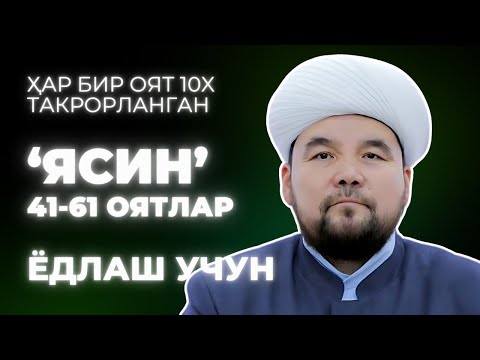 Tabiatdagi dumba rasmlari