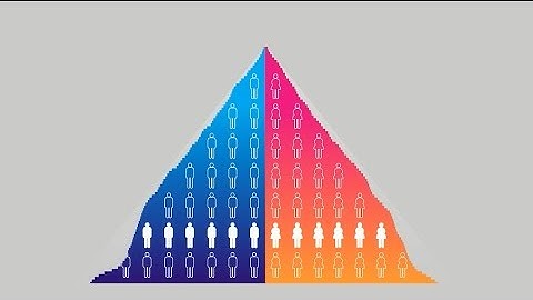 What is a population pyramid? How do we build one?