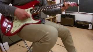 Fender Custom Shop 1960 Stratocaster Relic Matching Head