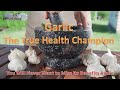 The Incredible Garlic - You Will Never Want to Miss It Gain