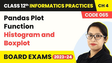 Pandas Plot Function (Histogram and Boxplot) | Class 12 Informatics Practices Ch 4 | CBSE 2024-25