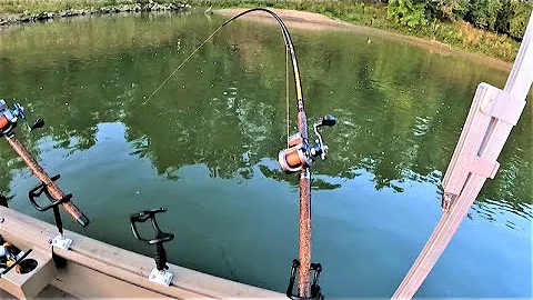 Tips for Catching FLATHEAD CATFISH with CUTBAIT!! (Works anywhere)