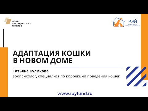 Вопрос: Кошке хватит пространства в квартире, если она не гуляет на улице?