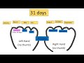Understanding Calendars: Common and Islamic