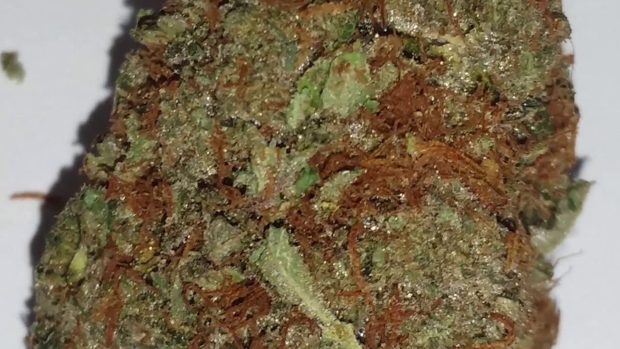 Guava dawg cannabis strain