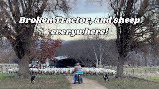 Fixing the Broken Bale Feeder & Yarding Up the Lambs 🛠🐑 | A Day on the Farm