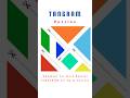 Tangram Puzzle #tangram #puzzles #chinesepuzzle #ancientpuzzles #geometrypuzzles