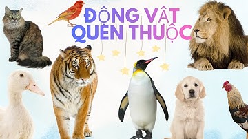 Các loài động vật quen thuộc | 20 Con Vật Quen Thuộc Bằng Tiếng Anh - English for kids #animals