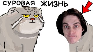 видео: Ты - Манул (И ЭТО ВСЯ ТВОЯ ЖИЗНЬ) - Реакция картинка: Ты - Манул (И ЭТО ВСЯ ТВОЯ ЖИЗНЬ) - Реакция