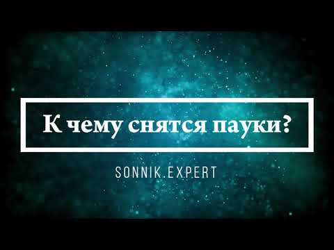 К чему снятся пауки - Онлайн Сонник Эксперт