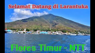 Download Lagu Welcome to Larantuka, East Flores MP3