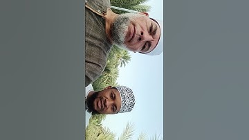 سورة القمر تلاوة و ترتيل