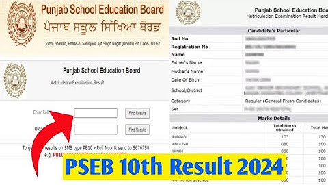 PSEB 10th Result 2024 Kaise Dekhe ? How To Check Punjab Board 10th Result 2024 ? PSEB Result 2024