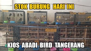 🔴 STOK BURUNG DI KIOS ABADI BIRD TANGERANG ! #monggaranggachannel #abadibird