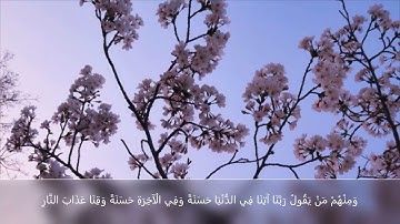 سورة البقرة  اية 201  المنشاوي