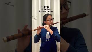 E key dizi flute breathe exercise (All press=2) #diziflute #dizi i