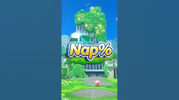 a kirby speedrun where you sleep