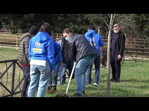 იოსებ ხახალეიშვილიმა და ზაზა ლომინაძემ  წიწვოვანი მცენარეები დარგეს