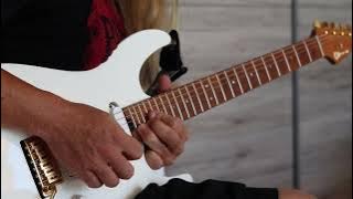 Brian Maillard - WHITE FLYING