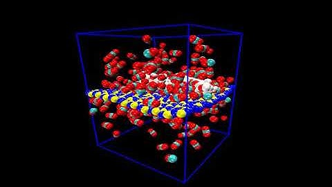 Simulated CO2 absorption using h BN:PVA