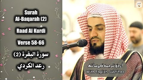 Surah Al Baqarah (2) Verse 58-66 Raad Al Kurdi أداء خاشع لما تيسر من سورة البقرة القارئ رعد الكردي