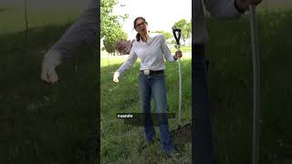 ¿No quitas las cacas de tu prado?