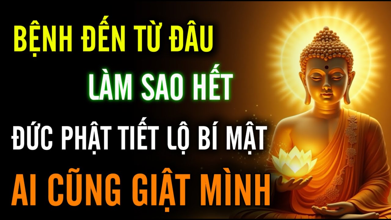 Outline Video Bệnh Đến Từ Đâu, Làm Sao Hết - Đức Phật Tiết Lộ Bí Mật | Khiến Ai Cũng Giật Mình