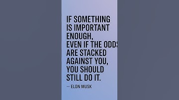 When the Odds Are Against You – Elon Musk Inspiration