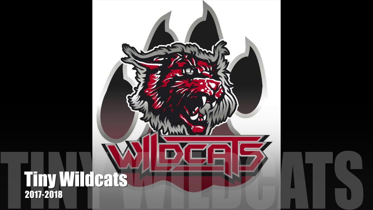 Tiny Wildcats Music 2017-2018
