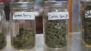 Part 2: Highweed 395 co-owner shares his past with cannabis