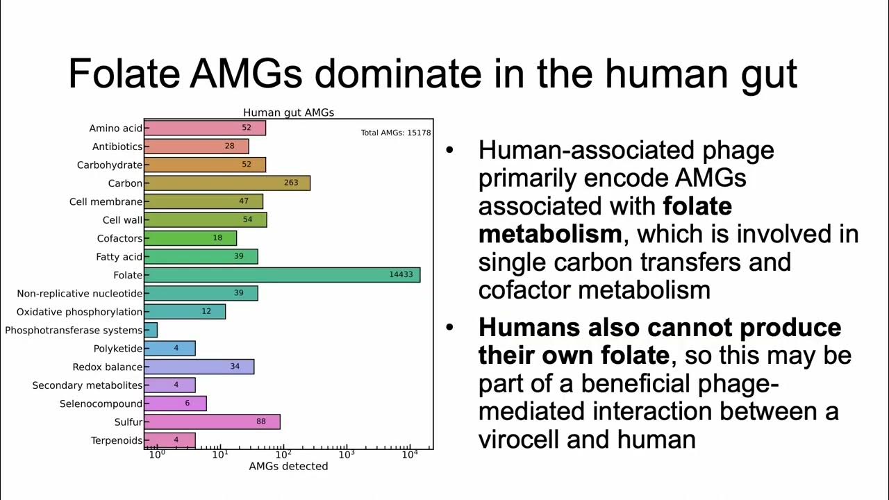 PhAME DB A comprehensive catalog of phage... Cody Martin