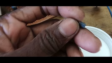 TCL ec2116 no channel problem