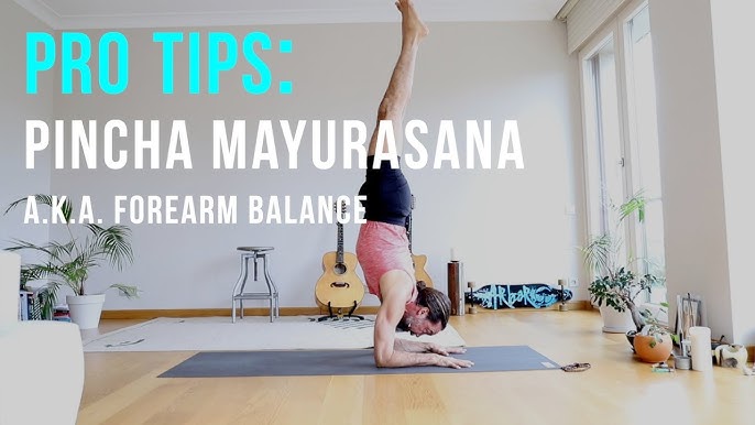 49 Forearm Balance or Feathered Peacock Pose (Pincha Mayurasana