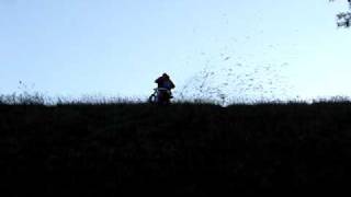 Tuzina Pidro Ide Na Bugara