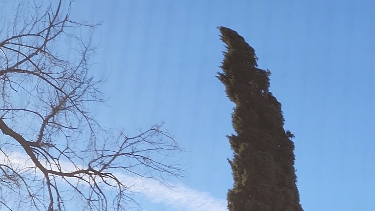 Gusty Windy NW Winds & Sunny 3:53pm January 22, 2023 - YouTube