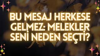 Bu Mesaj Herkese Gelmez: Melekler Seni̇ Neden Seçti̇?