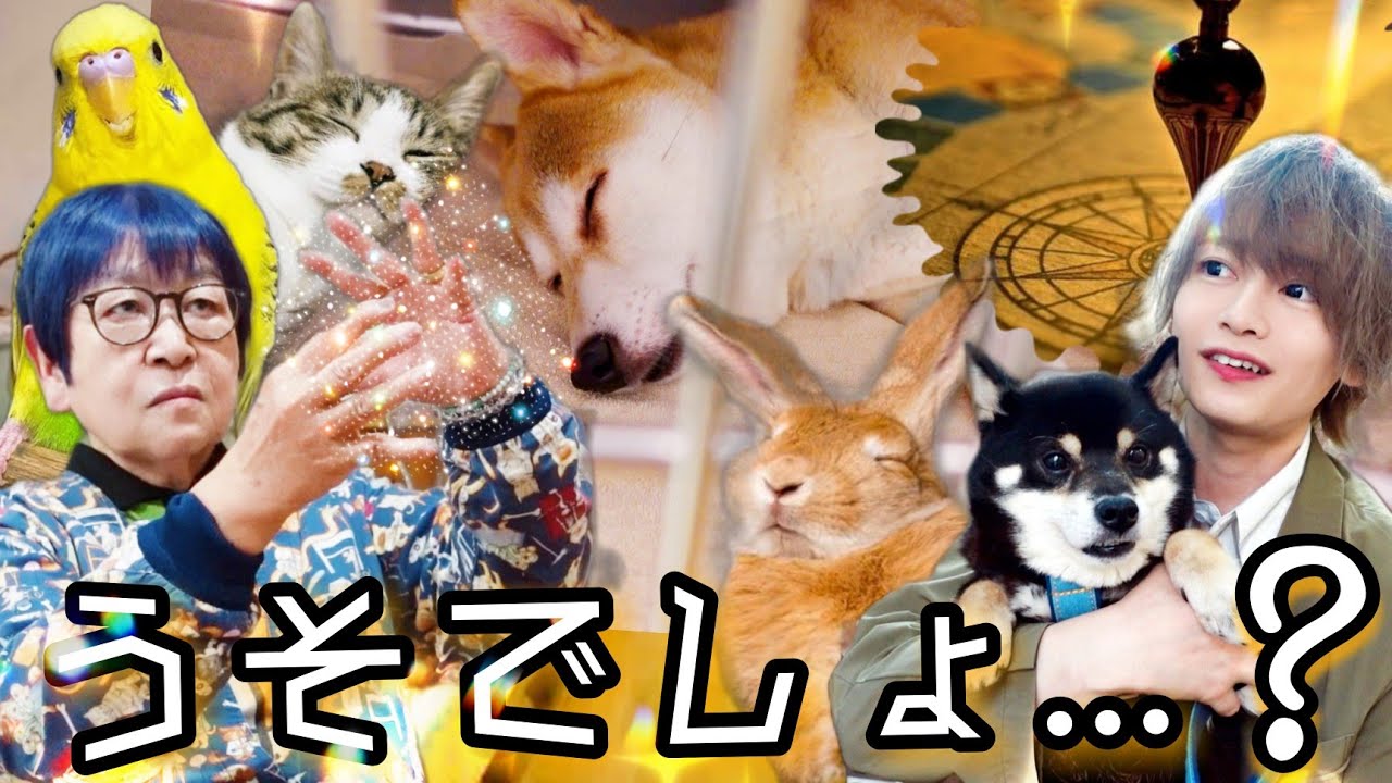 まるで魔法？スゴすぎる獣医師に密着！さらに体の不調が次々と回復する部屋の真相に迫る！