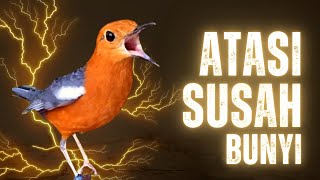 Download Lagu LANGSUNG NYAUT 10000 % ‼️ ANIS MERAH MACET BUNYI JIKA DENGAR SUARA INI PASTI NYAUT LANJUT GACOR | 74 MP3