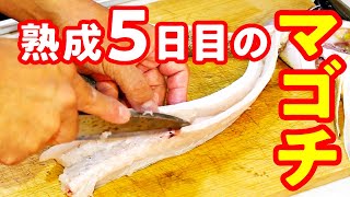 マゴチのさばき方 釣って ５日目 の刺身は本当に食えるのか Youtube