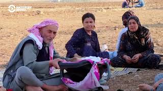 Сирийские курды договорились с Асадом о борьбе против Эрдогана