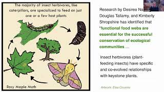 Keystone Plants & Soft Landings Plantings for Native Bees screenshot 1