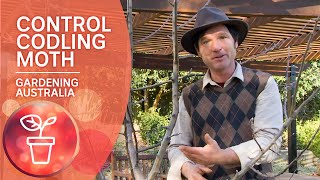 Famous How to control Codling Moth Wealth