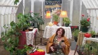 Jardin dhiver